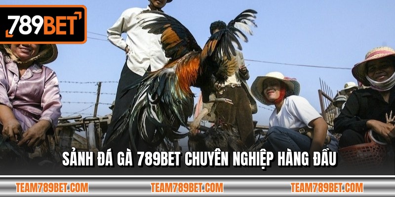 Sảnh đá gà 789BET chuyên nghiệp hàng đầu