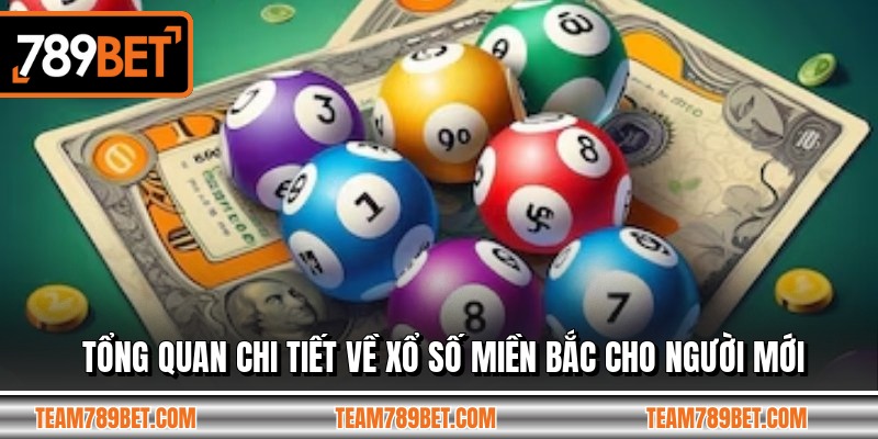 Tổng quan chi tiết về xổ số miền bắc cho người mới